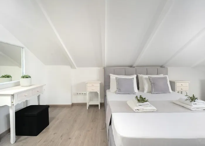 Dimar * 奥林匹亚达