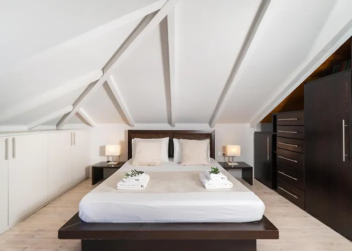 Dimar * 奥林匹亚达