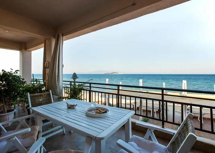 Dimar * 奥林匹亚达